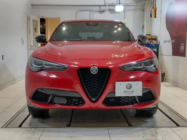 Alfa Romeo STELVIO — фото 1
