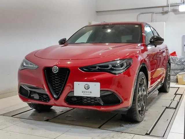 Alfa Romeo STELVIO — фото 2