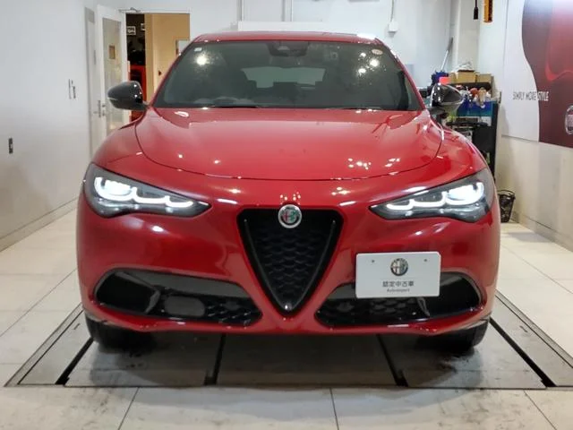 Alfa Romeo STELVIO — фото 3