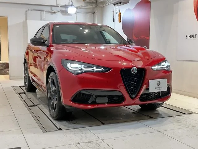 Alfa Romeo STELVIO — фото 4