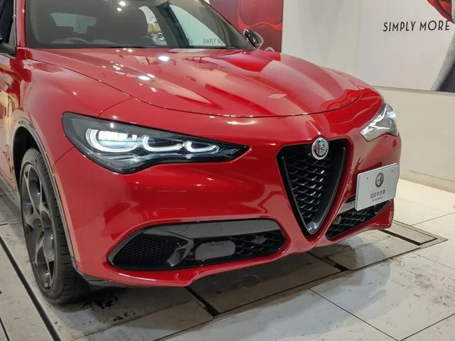 Alfa Romeo STELVIO — фото 5