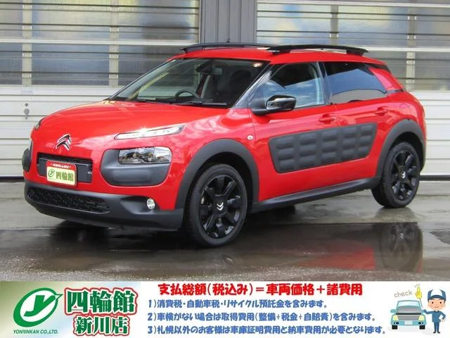 Citroën C4 CACTUS — фото 1