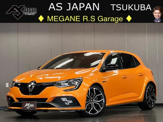 Renault MEGANE — фото 1