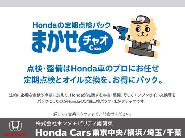 Honda FIT SHUTTLE — фото 4