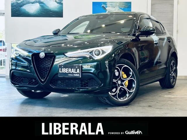 Alfa Romeo STELVIO — фото 1
