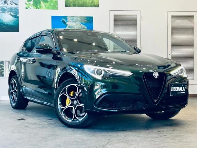 Alfa Romeo STELVIO — фото 4
