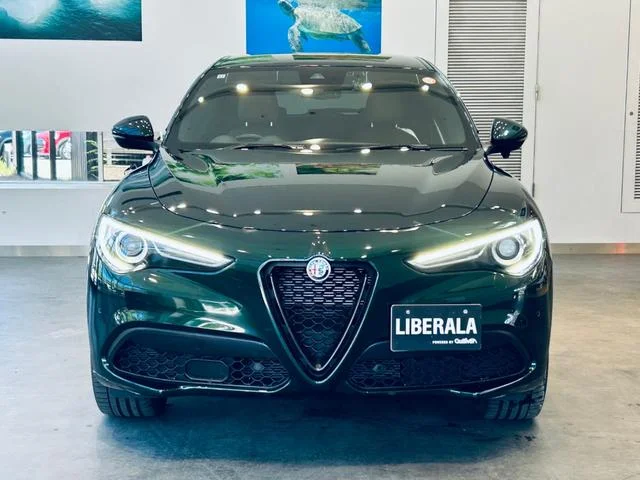Alfa Romeo STELVIO — фото 5