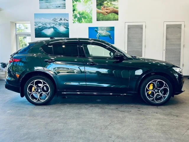 Alfa Romeo STELVIO — фото 6