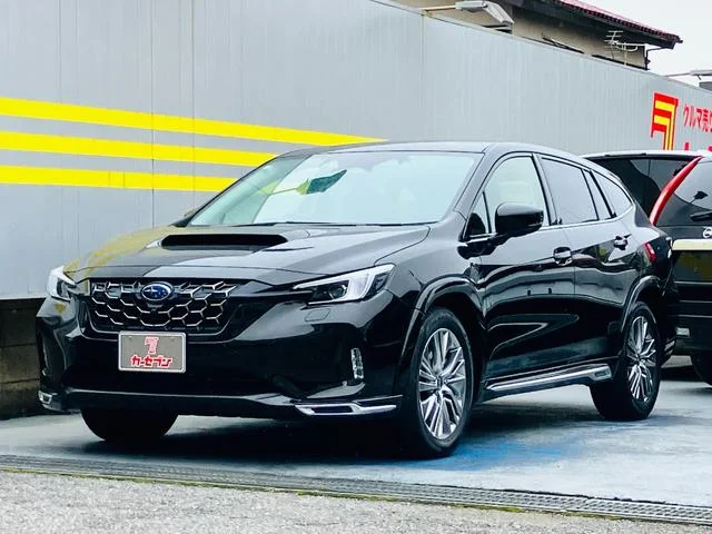 Subaru LEVORG LAYBACK — фото 1