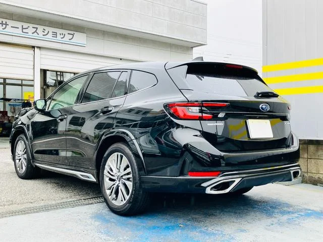 Subaru LEVORG LAYBACK — фото 4
