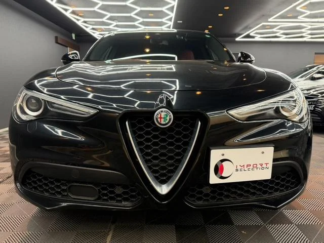 Alfa Romeo STELVIO — фото 5