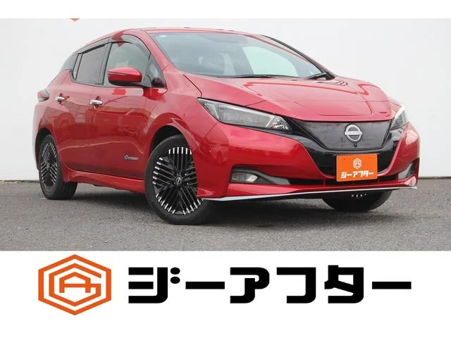 Nissan LEAF — фото 1