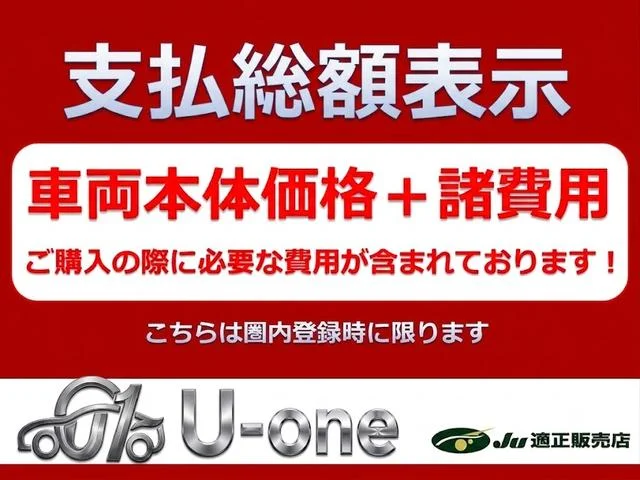 Nissan SKYLINE CROSSOVER — фото 2