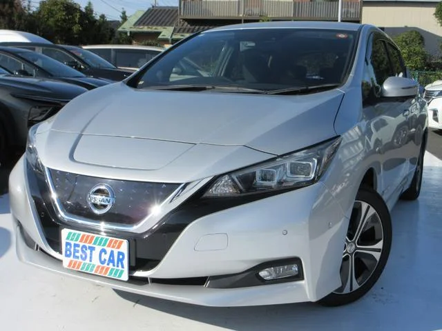 Nissan LEAF — фото 1
