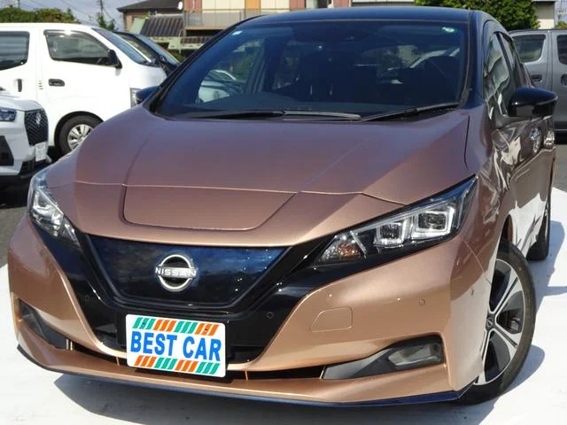 Nissan LEAF — фото 1