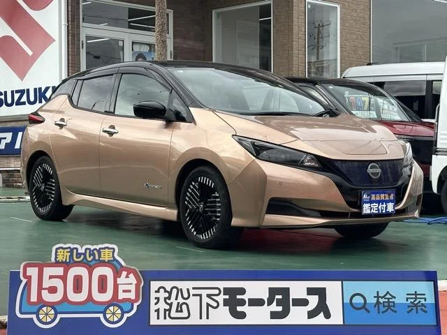 Nissan LEAF — фото 1