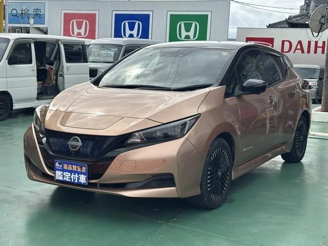 Nissan LEAF — фото 4