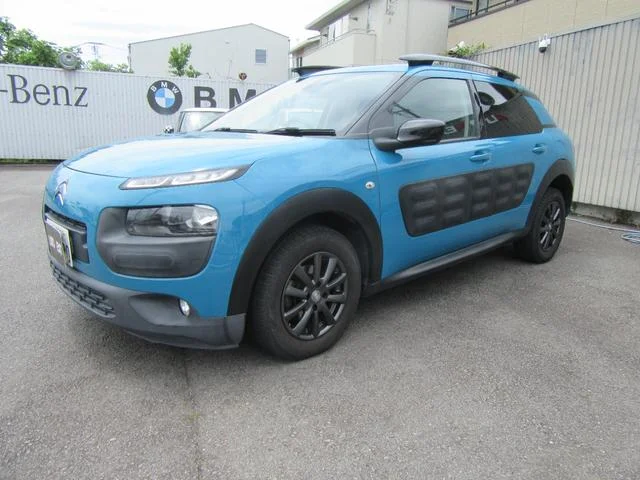 Citroën C4 CACTUS — фото 3