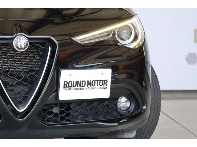 Alfa Romeo STELVIO — фото 5