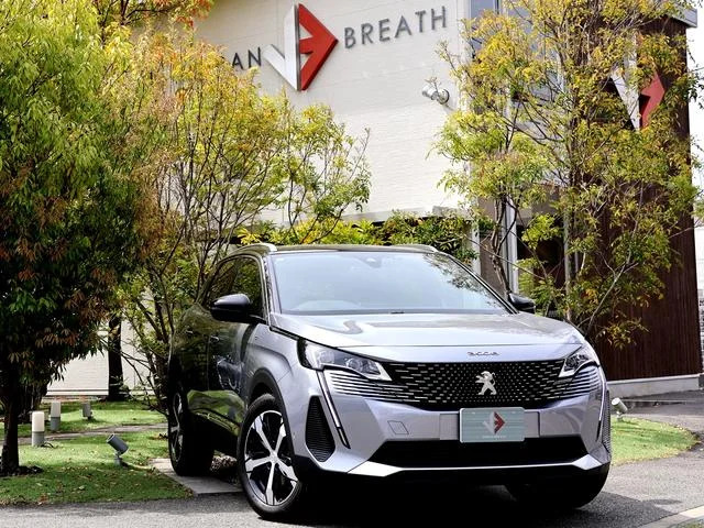 Peugeot 3008 — фото 1
