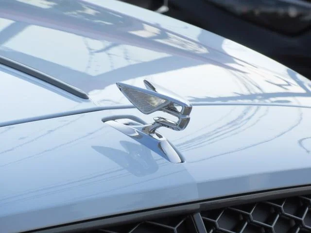 Bentley FLYING SPUR — фото 6