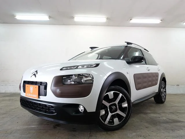 Citroën C4 CACTUS — фото 1