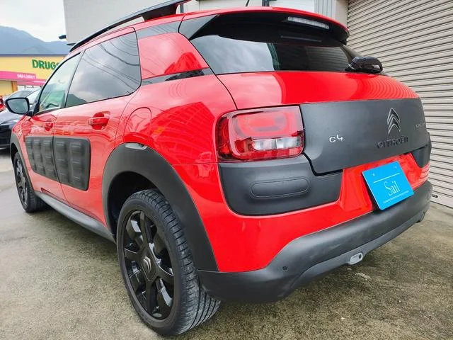 Citroën C4 CACTUS — фото 3