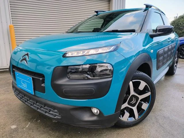 Citroën C4 CACTUS — фото 1