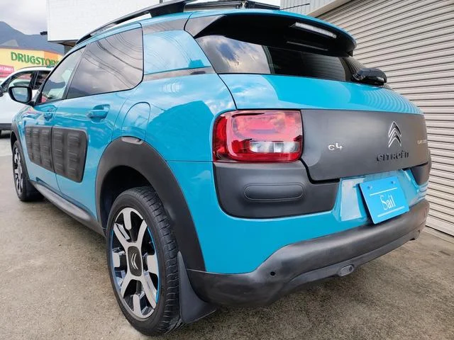 Citroën C4 CACTUS — фото 3