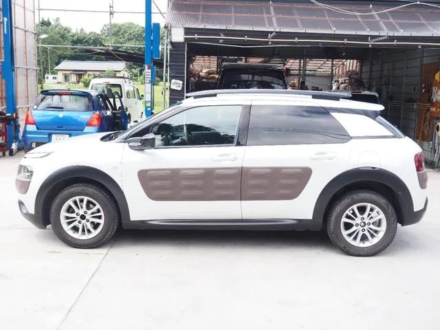 Citroën C4 CACTUS — фото 4