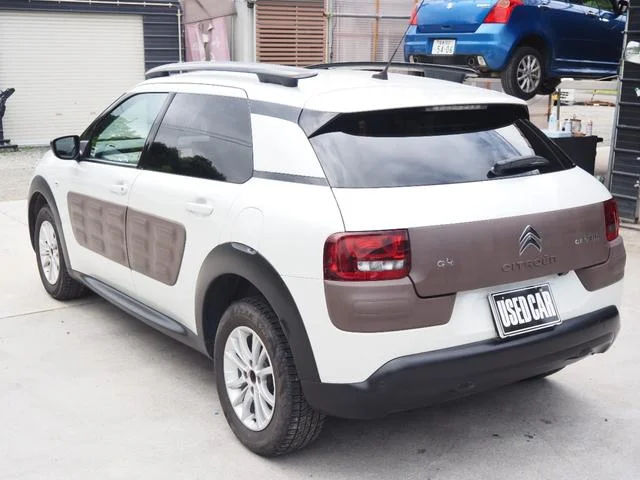Citroën C4 CACTUS — фото 5