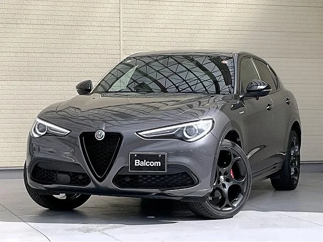 Alfa Romeo STELVIO — фото 1
