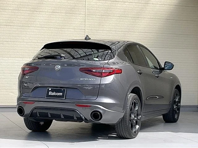 Alfa Romeo STELVIO — фото 3