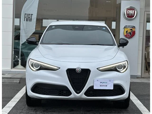 Alfa Romeo STELVIO — фото 4