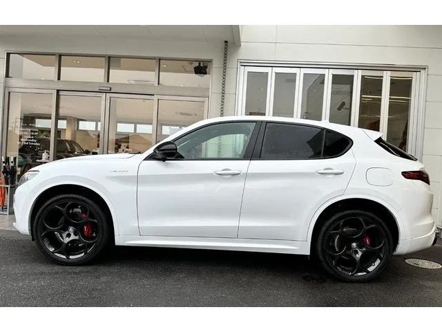 Alfa Romeo STELVIO — фото 5
