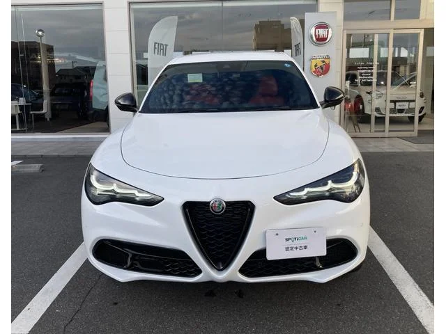 Alfa Romeo STELVIO — фото 2