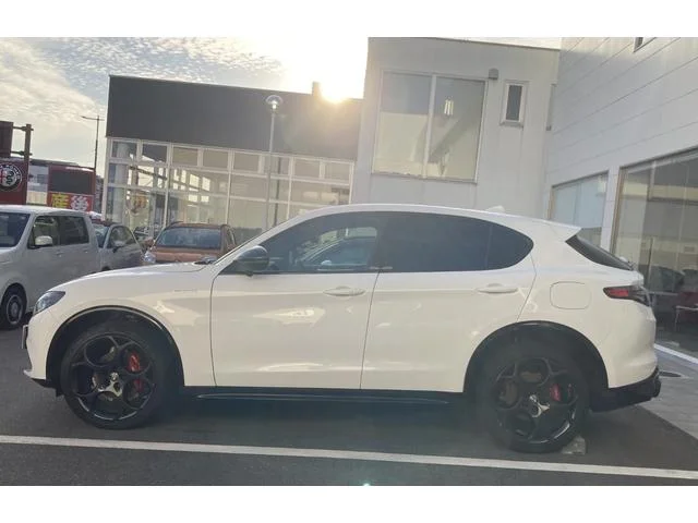 Alfa Romeo STELVIO — фото 5