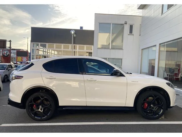 Alfa Romeo STELVIO — фото 6