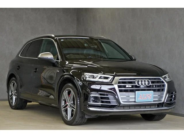 Audi SQ5 — фото 1