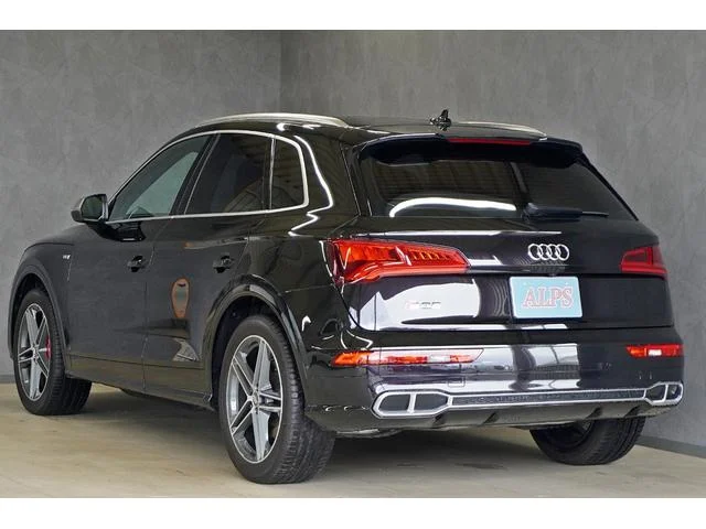 Audi SQ5 — фото 6