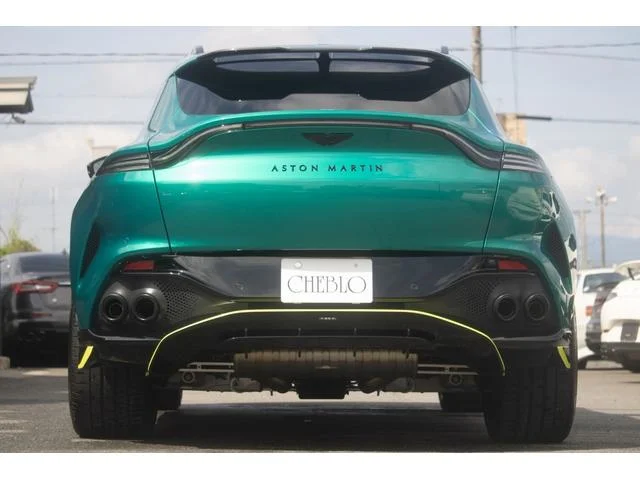 ASTON MARTIN DBX — фото 6