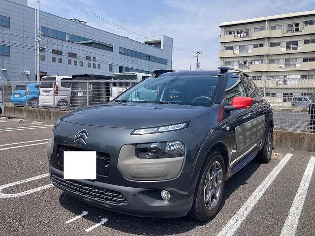 Citroën C4 CACTUS — фото 1
