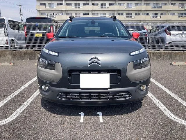 Citroën C4 CACTUS — фото 2