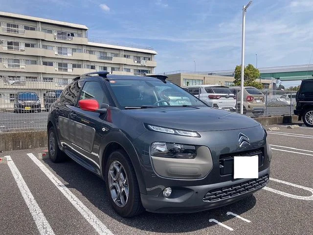 Citroën C4 CACTUS — фото 3