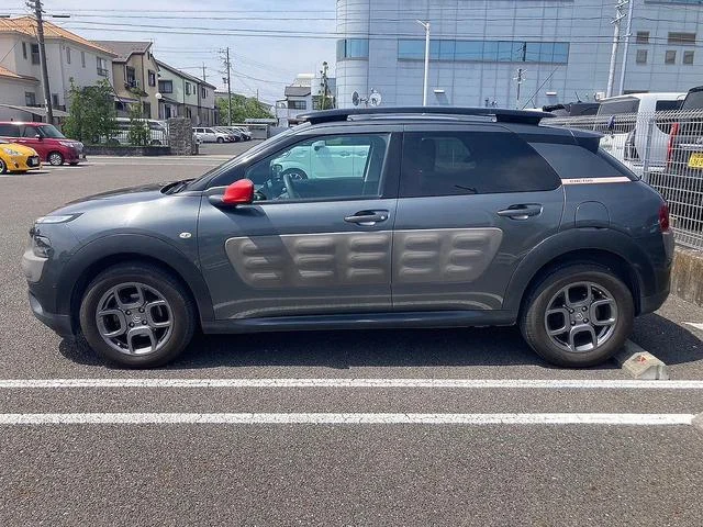 Citroën C4 CACTUS — фото 4