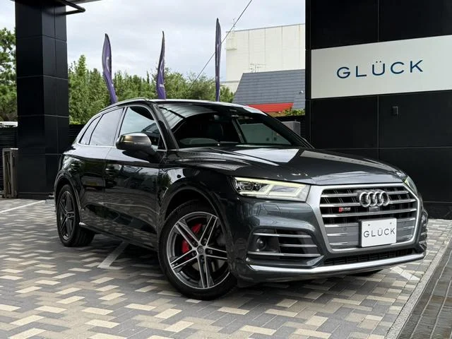Audi SQ5 — фото 1