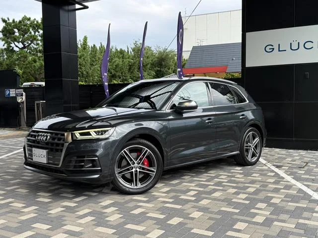 Audi SQ5 — фото 3