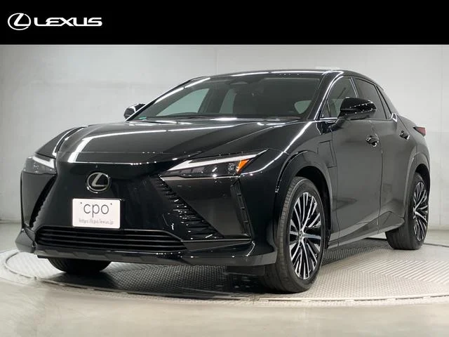 Lexus RZ — фото 1