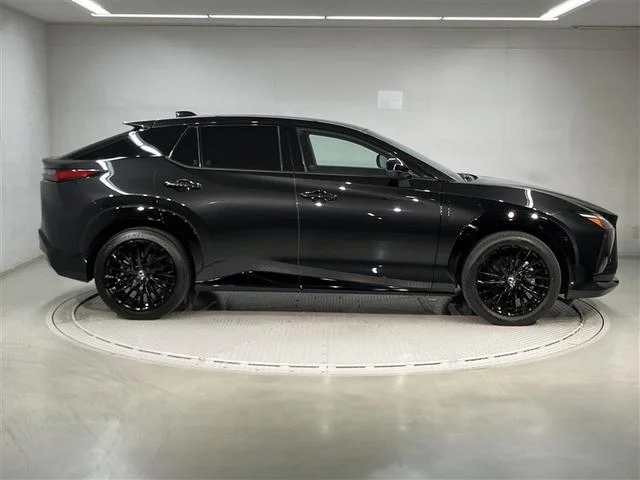Lexus RZ — фото 4