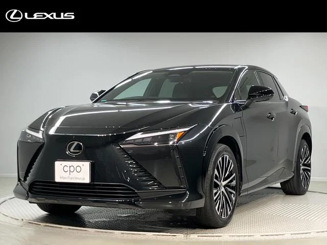Lexus RZ — фото 1